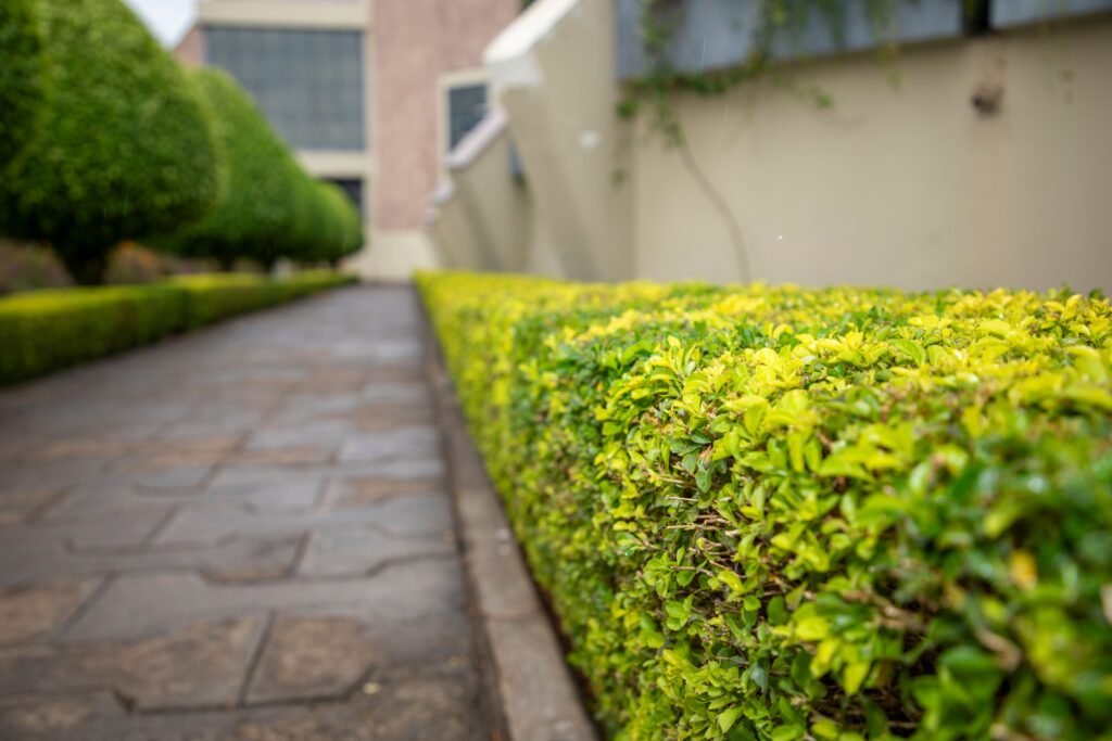 "GrassGurus"grassguruservices.com"Landscape Design & Installation Kuala Lumpur | GrassGurus"