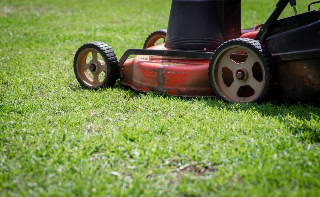 Lawn Care Kuala Lumpur