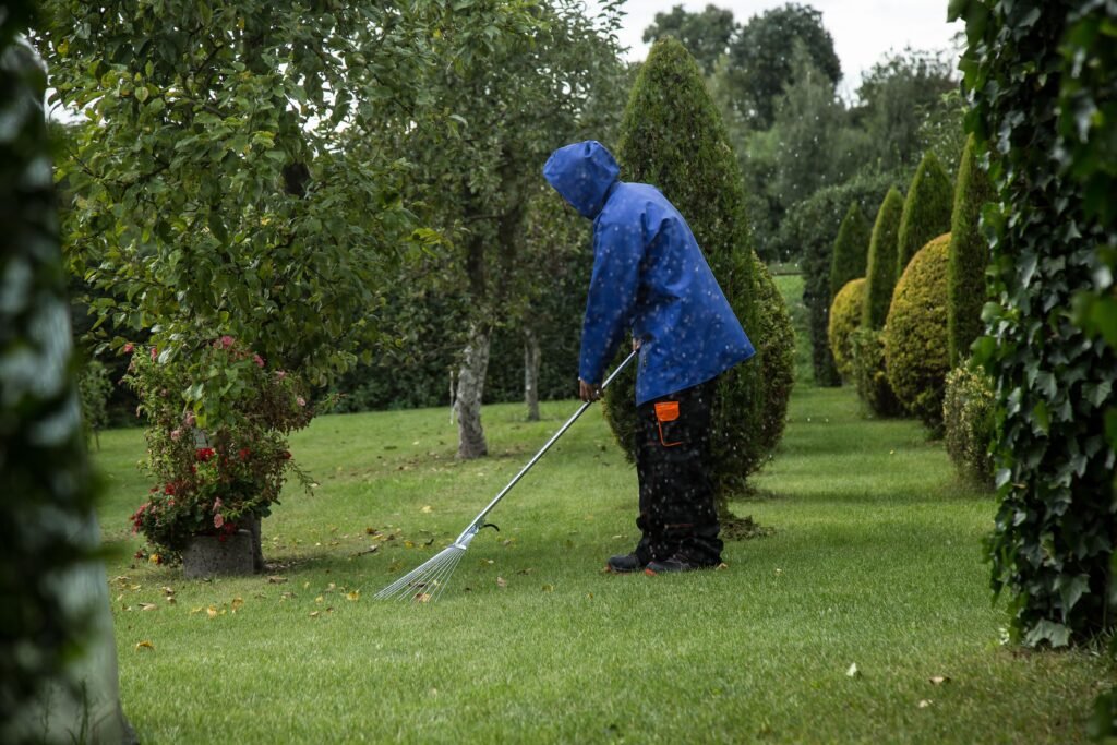 Garden Cleaning Kuala Lumpur