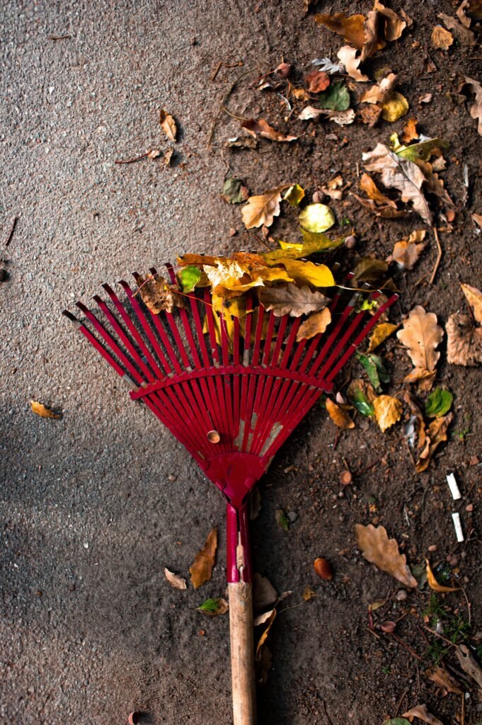 Garden Cleaning Kuala Lumpur