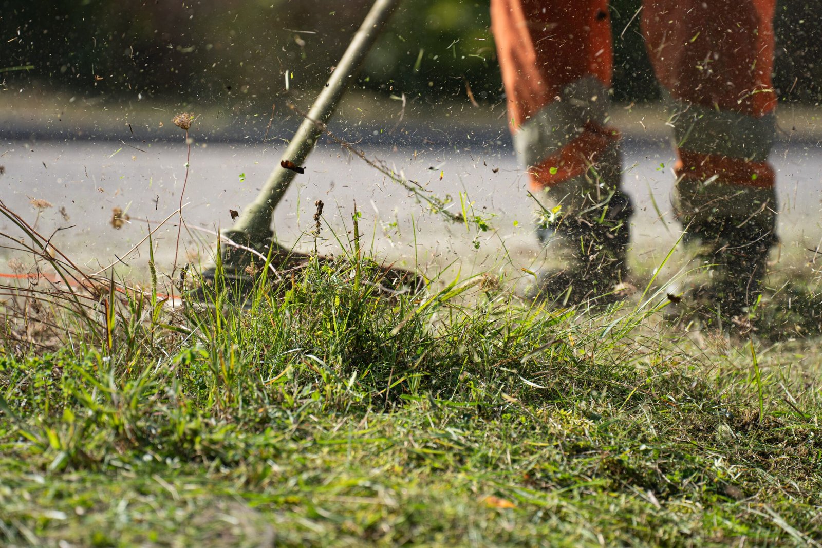 Lawn Care Kuala Lumpur