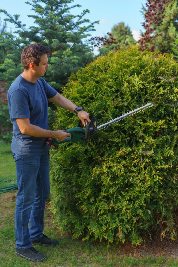 Tree Trimming & Plant Care Kuala Lumpur